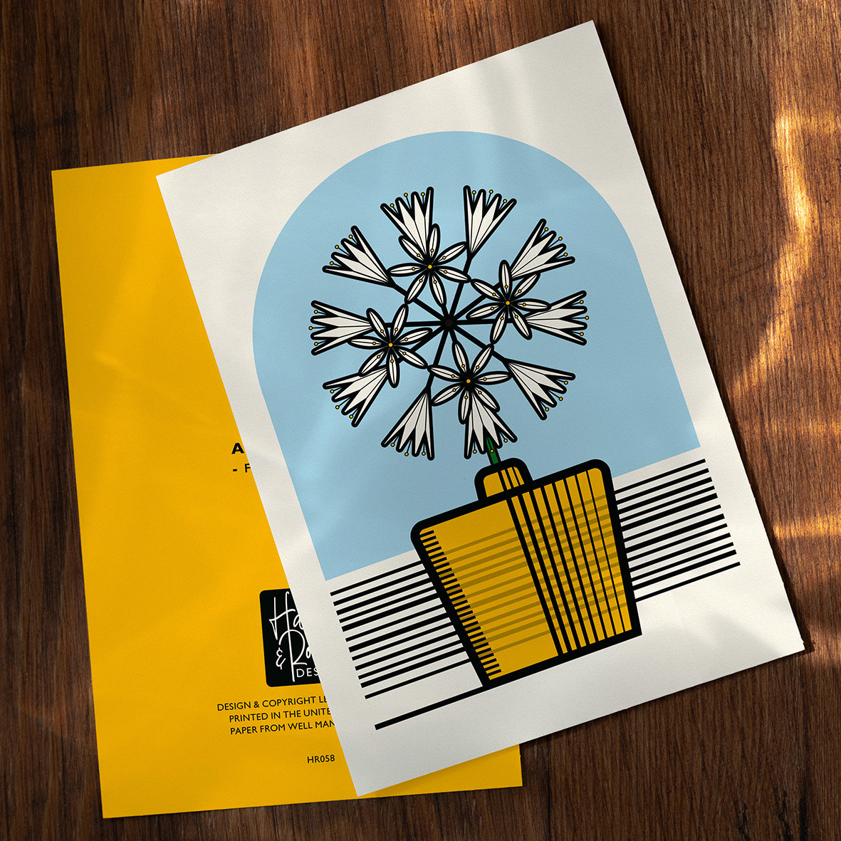 WHITE AGAPANTHUS FLOWER GREETINGS CARD