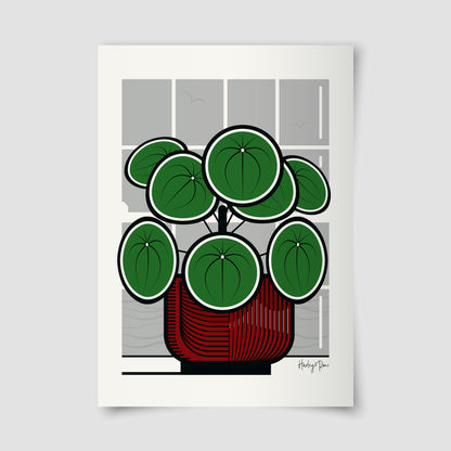 CHINESE MONEY PLANT GICLÉE PRINT