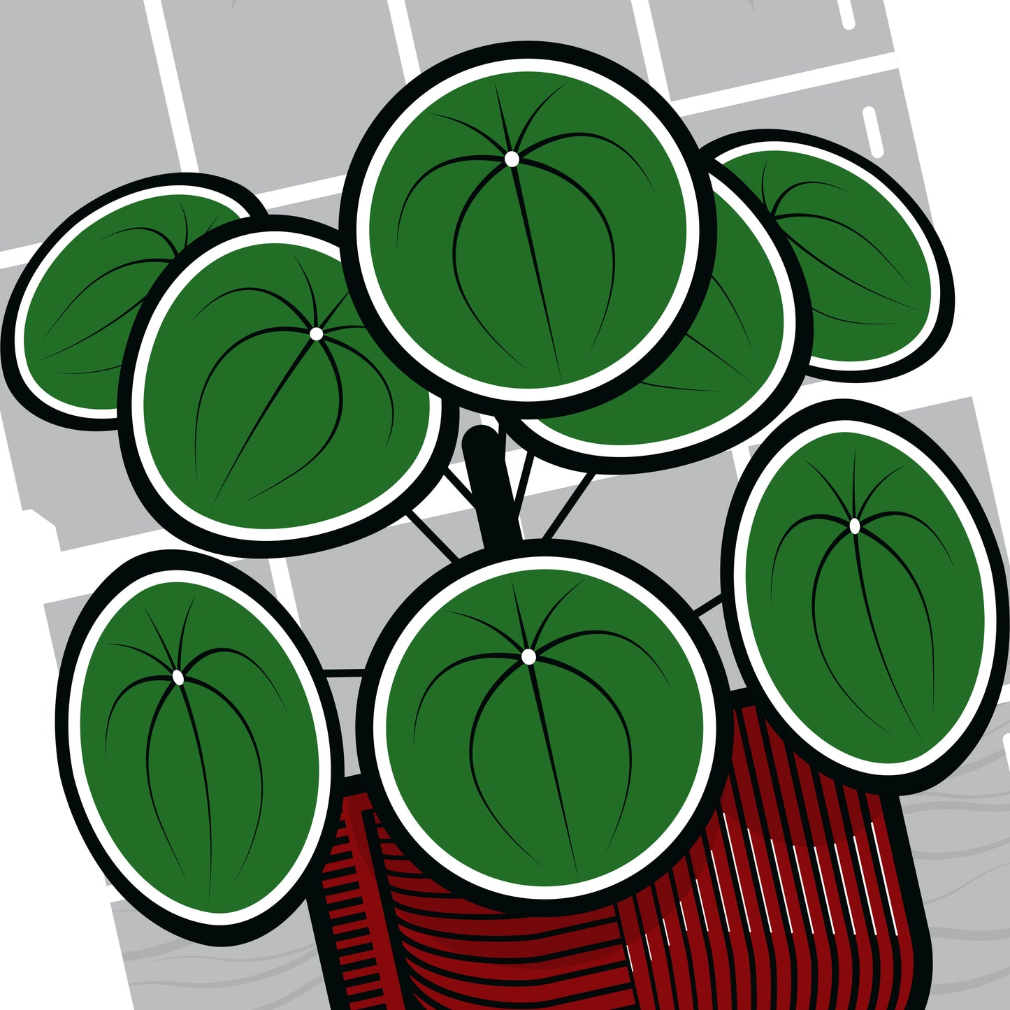 CHINESE MONEY PLANT GICLÉE PRINT