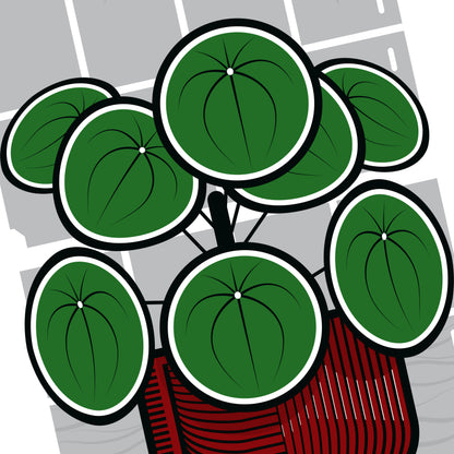 CHINESE MONEY PLANT GICLÉE PRINT